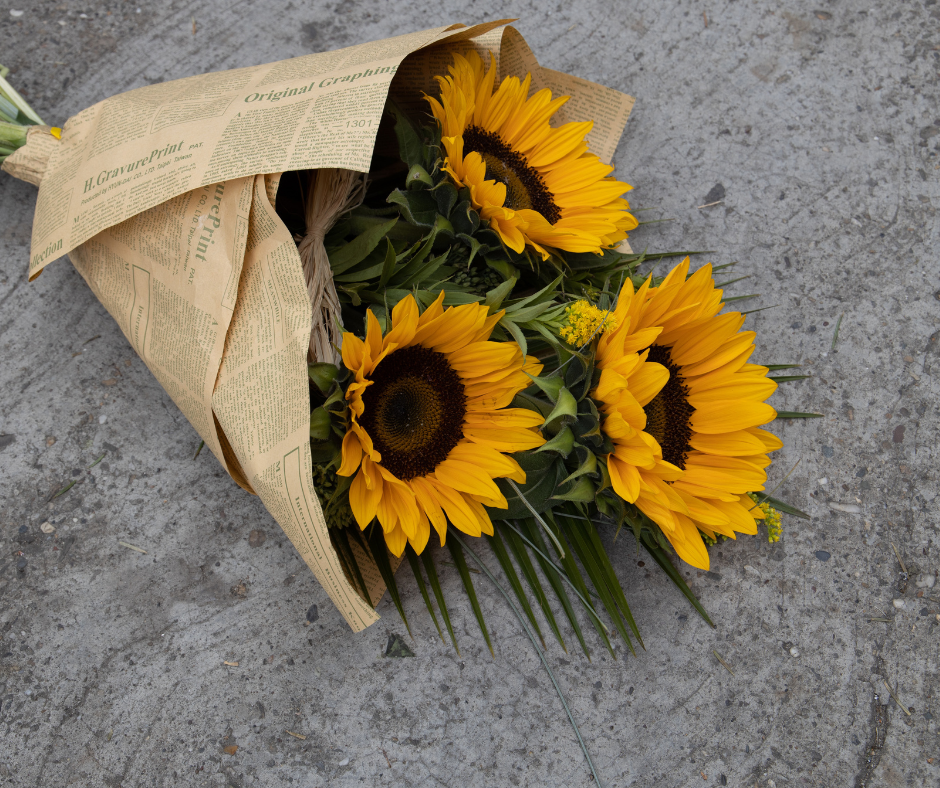 The Significance Of The Radiant Sunflower