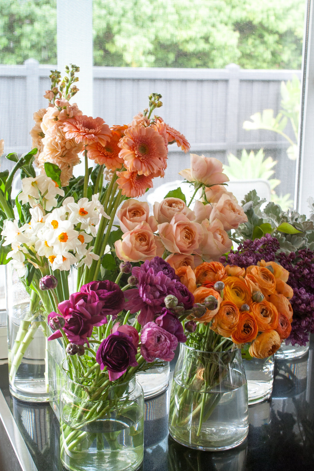 Spring Awakening: A Guide to Growing a Spectacular Spring Flower Garden