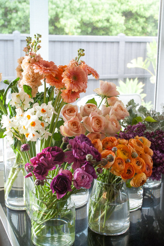 Spring Awakening: A Guide to Growing a Spectacular Spring Flower Garden