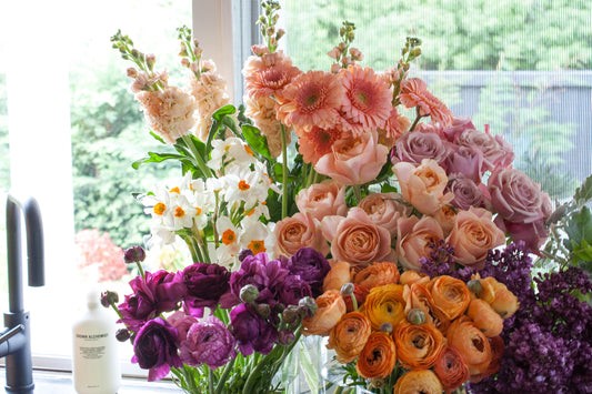 Summer Blooms: A Step-by-Step Guide to Growing a Vibrant Flower Garden