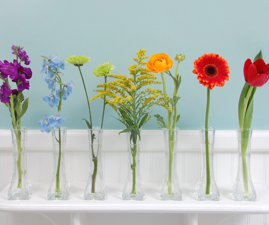 Colour Theory In Floristry