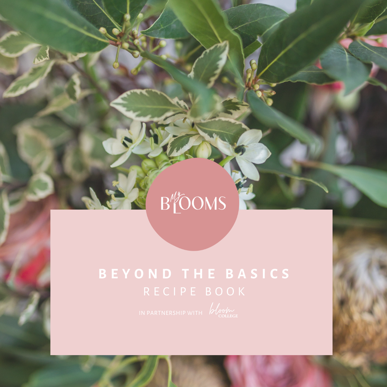 MyBlooms - Beyond The Basics eBook