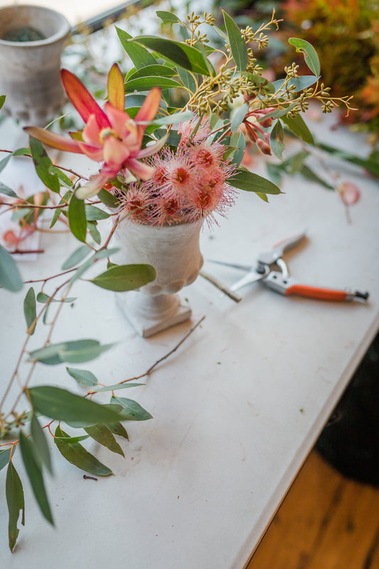 The Basic Anatomy of a Flower