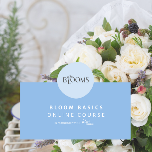 Bloom Basics Course